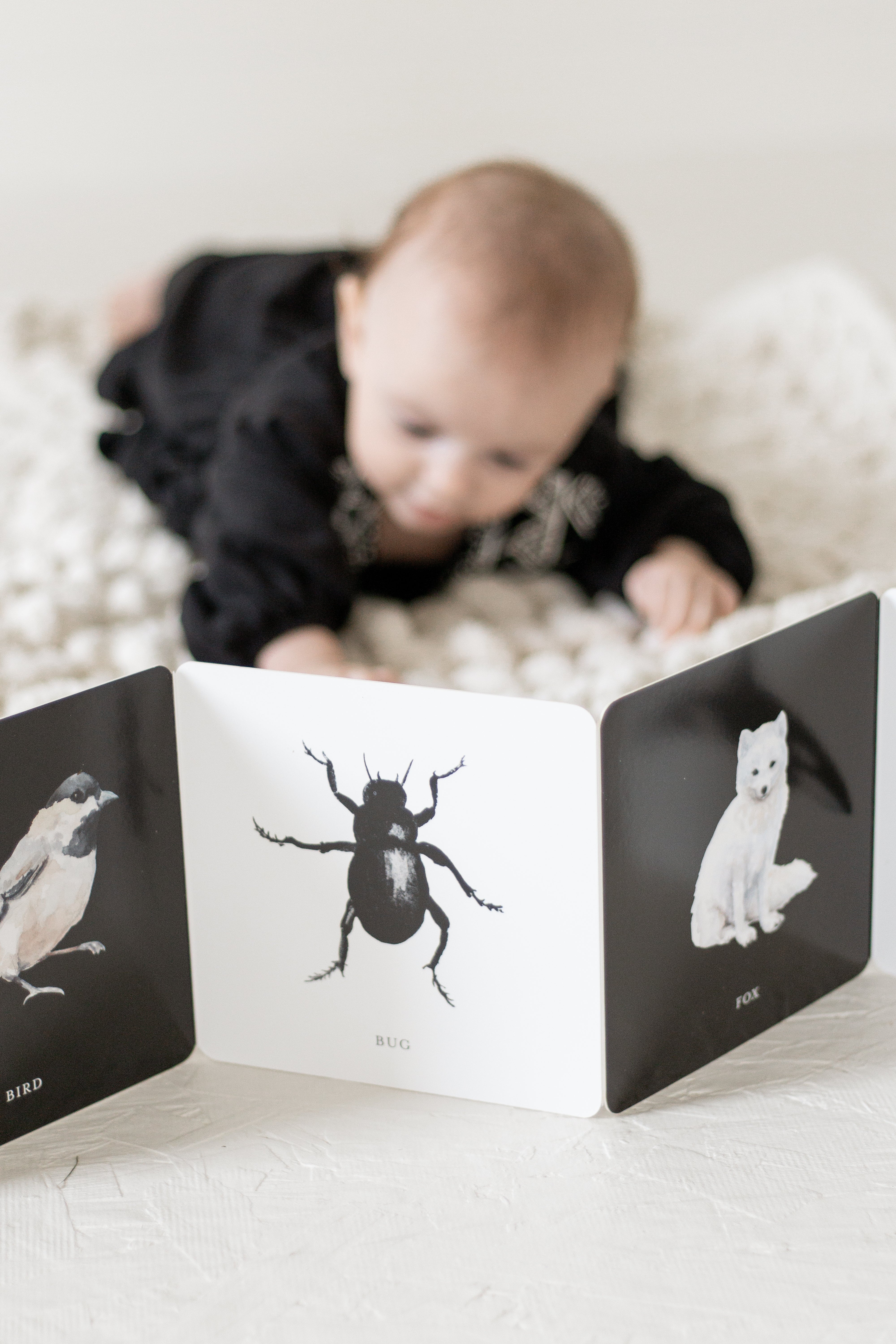 Black and White Contrast Book