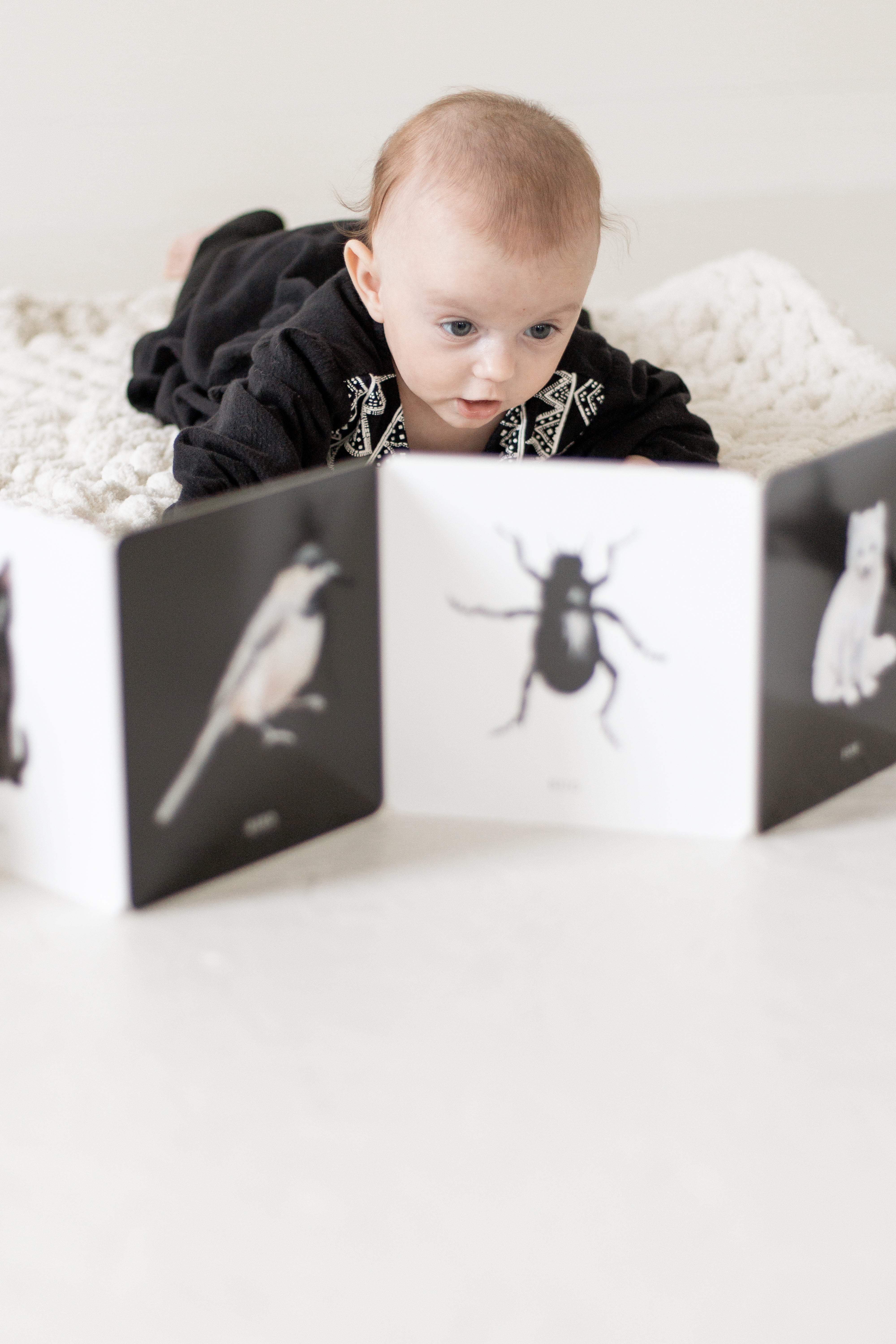 Black and White Contrast Book