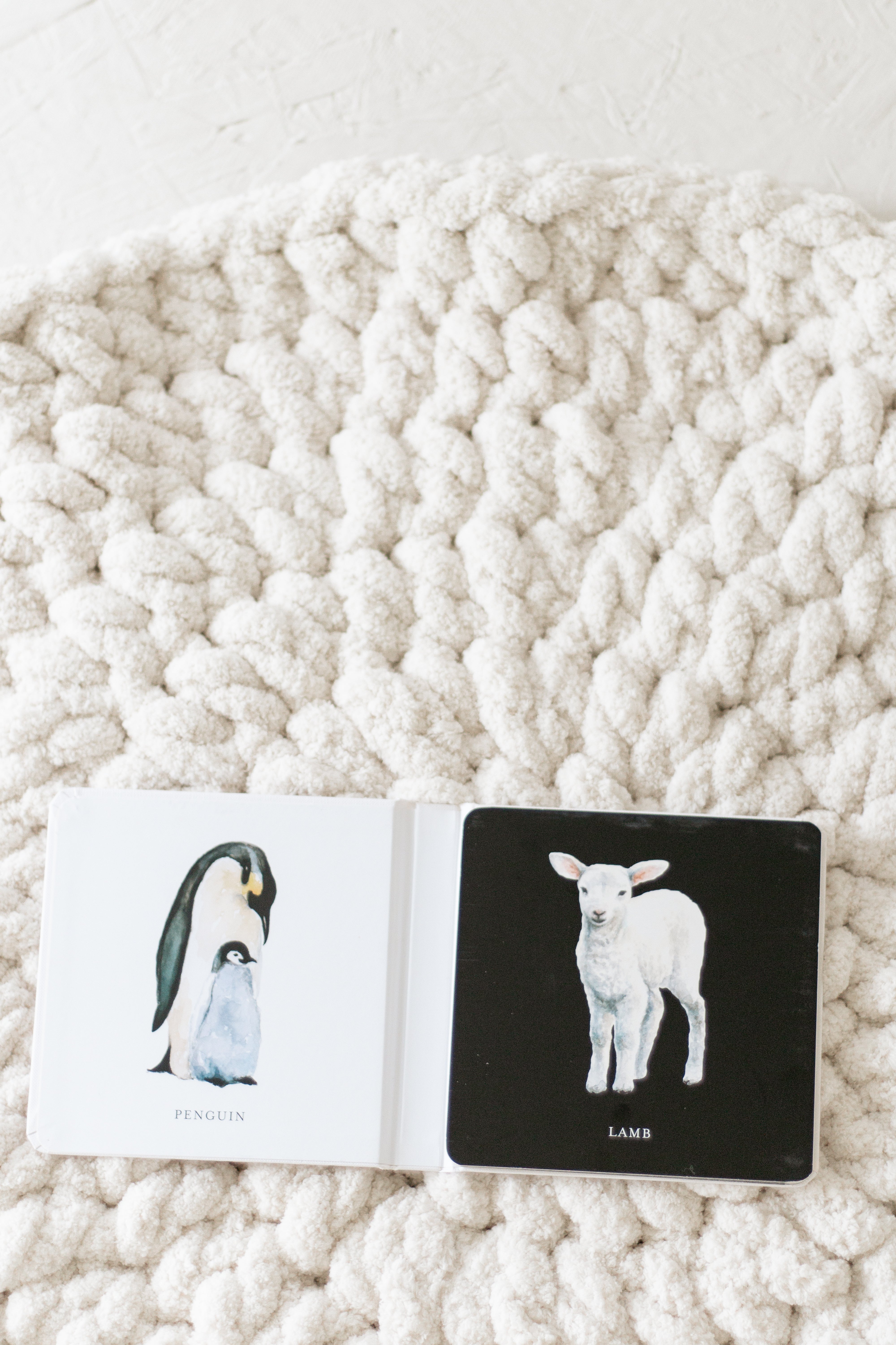 Black and White Contrast Book