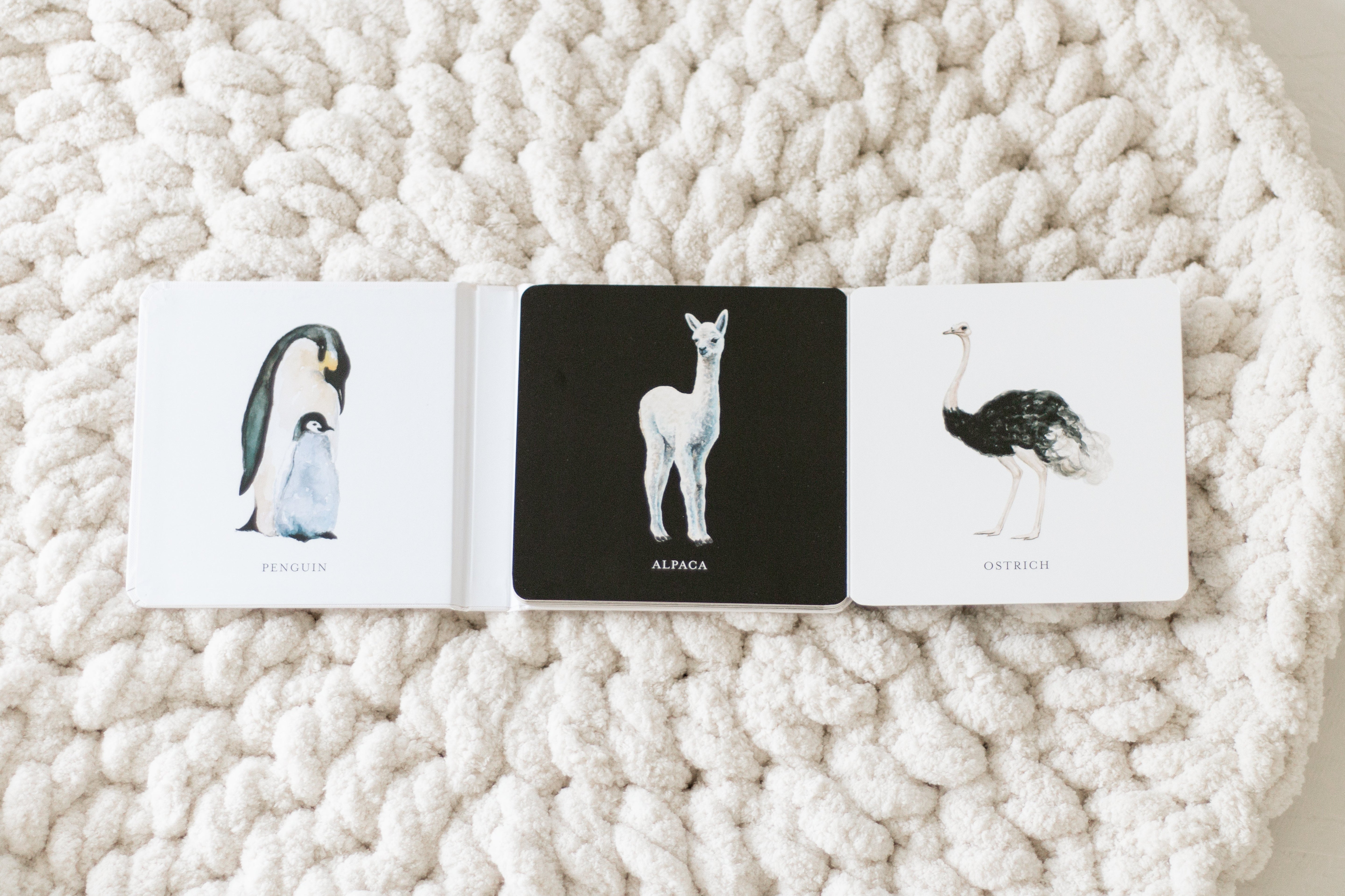 Black and White Contrast Book