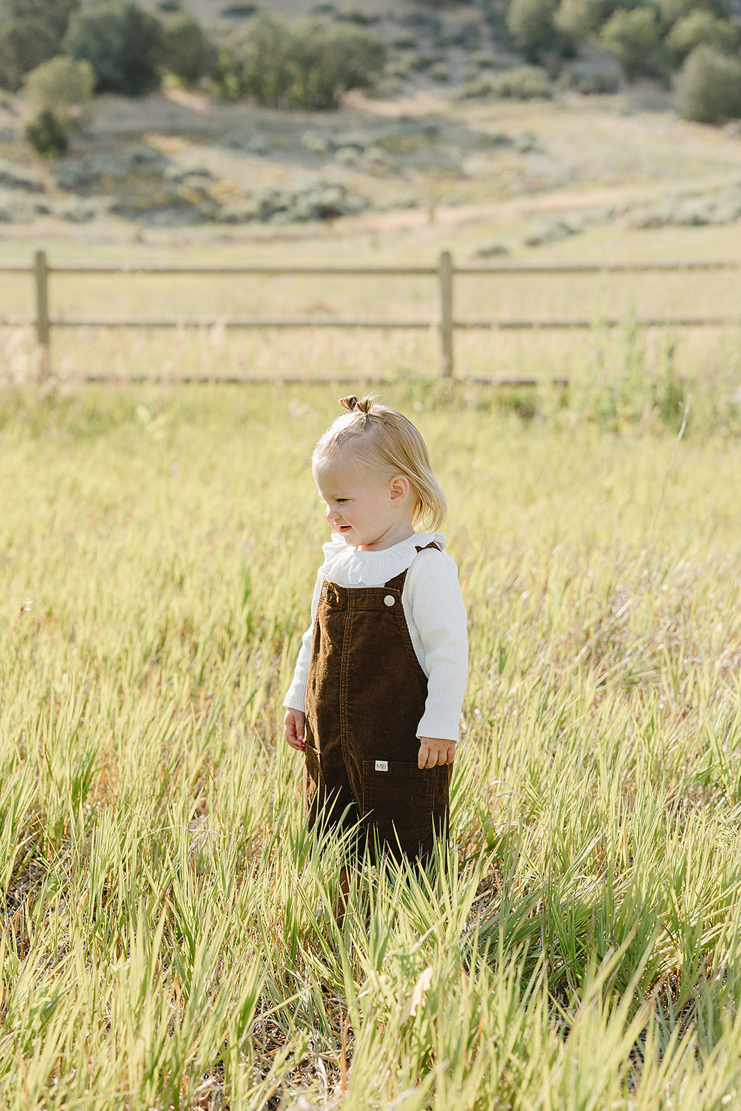 Brown Corduroy Dress