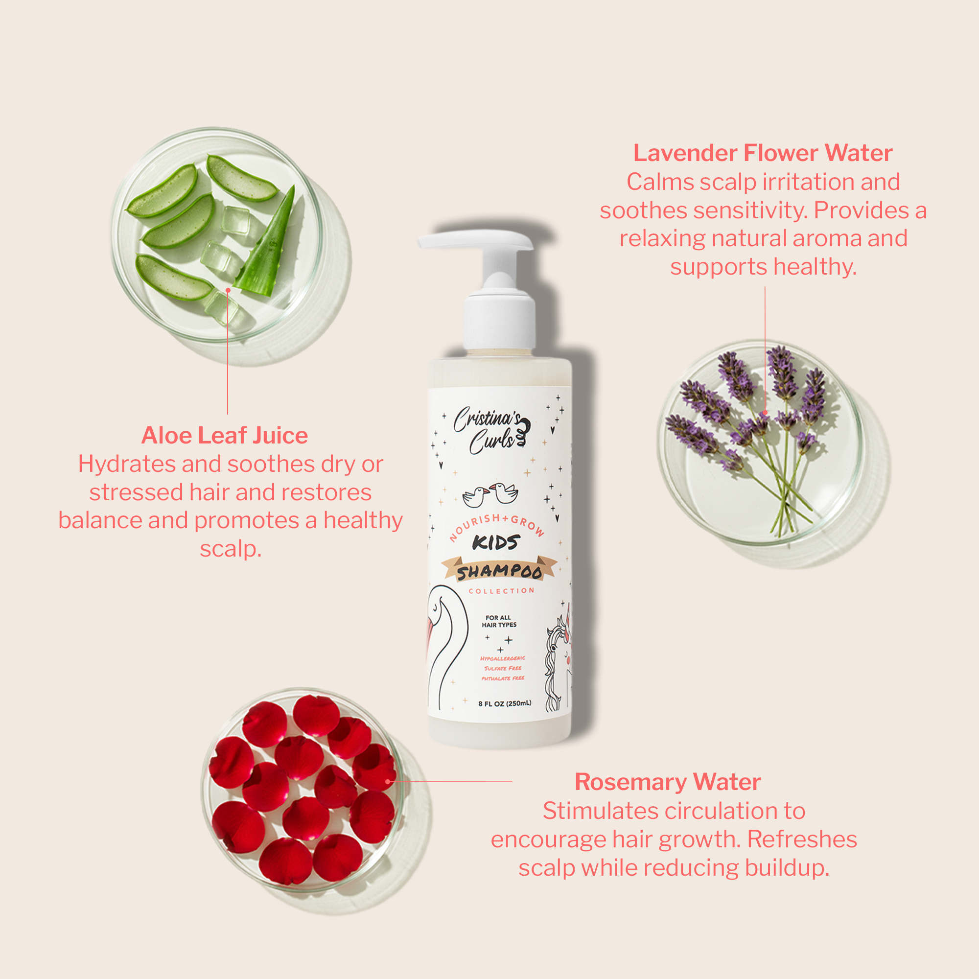 Nourish + Grow Essentials Set