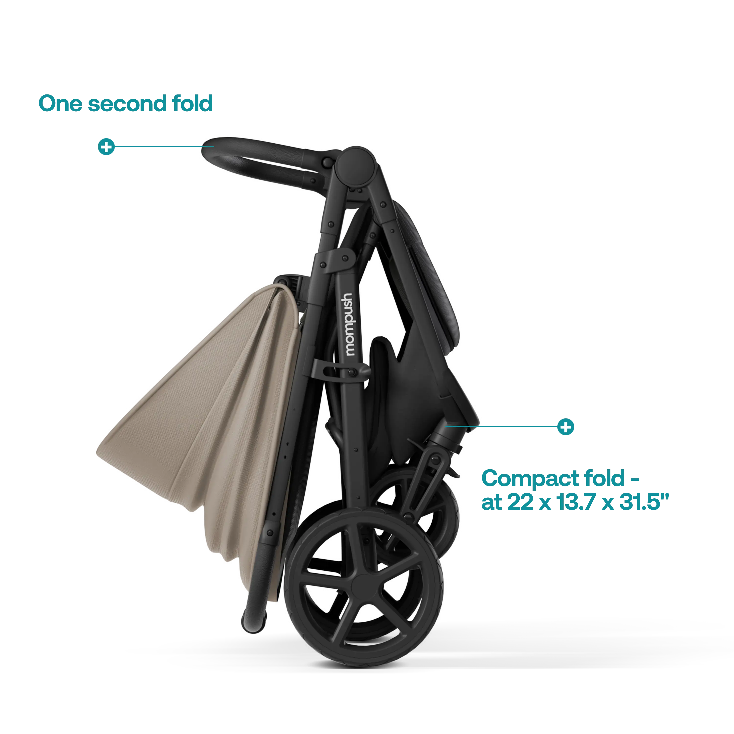 Mompush Nova