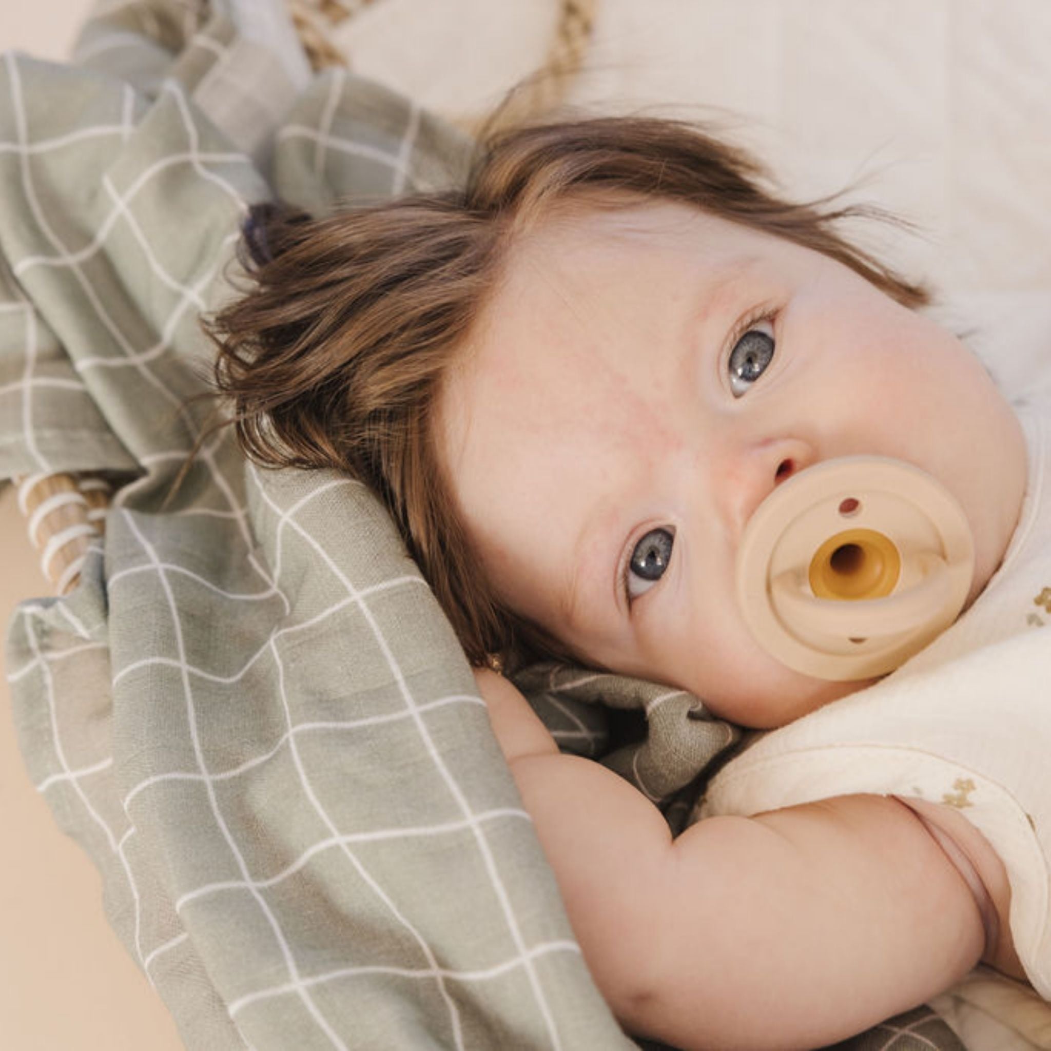 Modern Pacifier |  Mahogany Rose