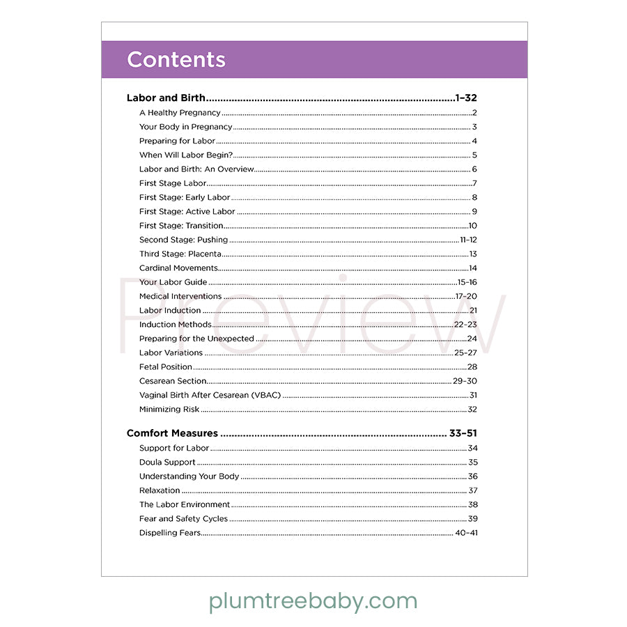 Lamaze Navigating Pregnancy & Birth Parent Guidebook