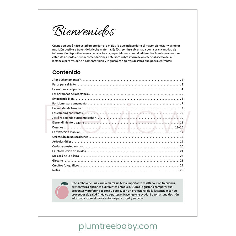 Breastfeeding Booklet