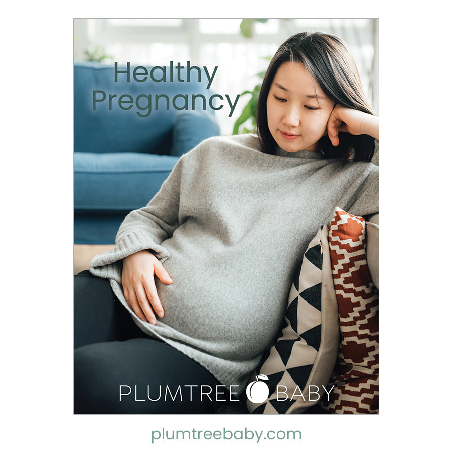 Healthy Pregnancy Booklet