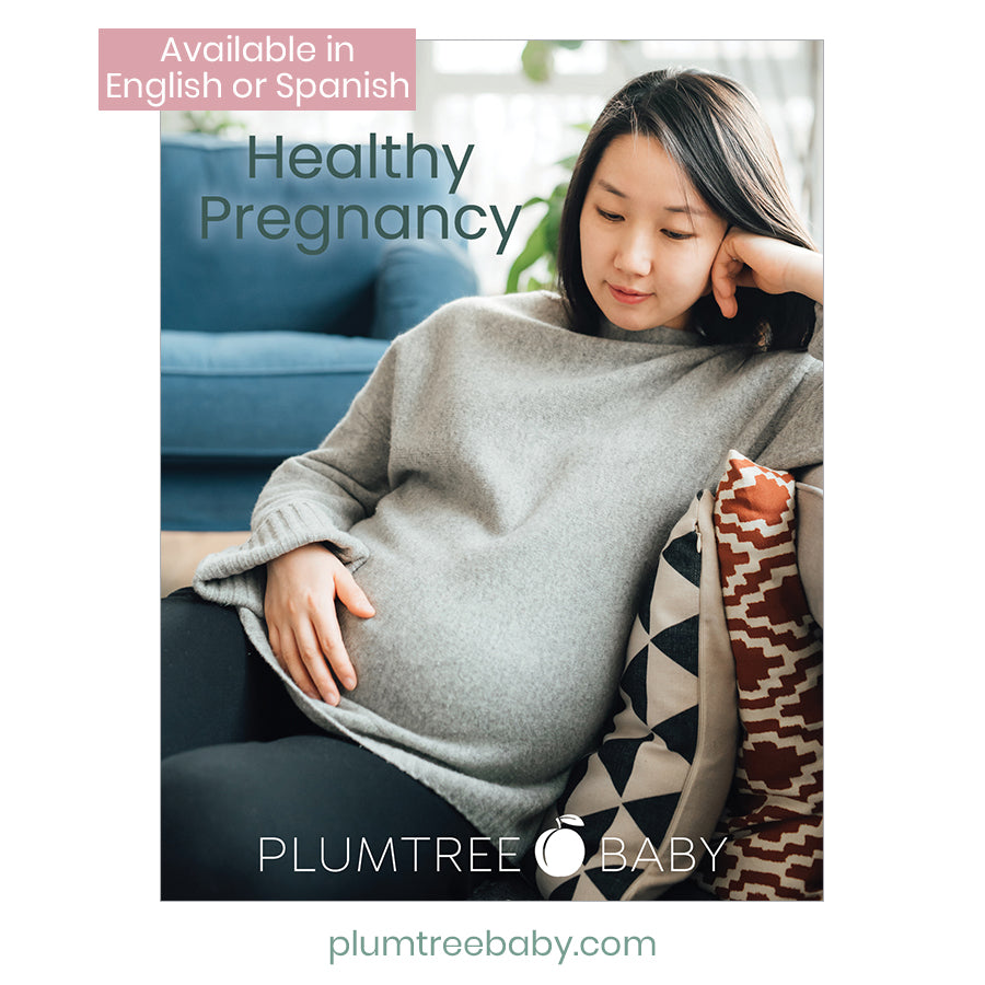 Healthy Pregnancy Booklet