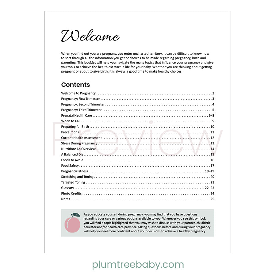 Healthy Pregnancy Booklet