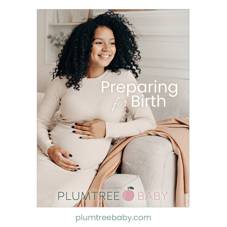 Preparing for Birth Book