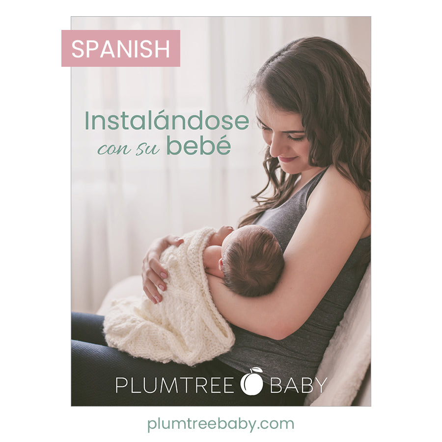 Settling In with Baby Book