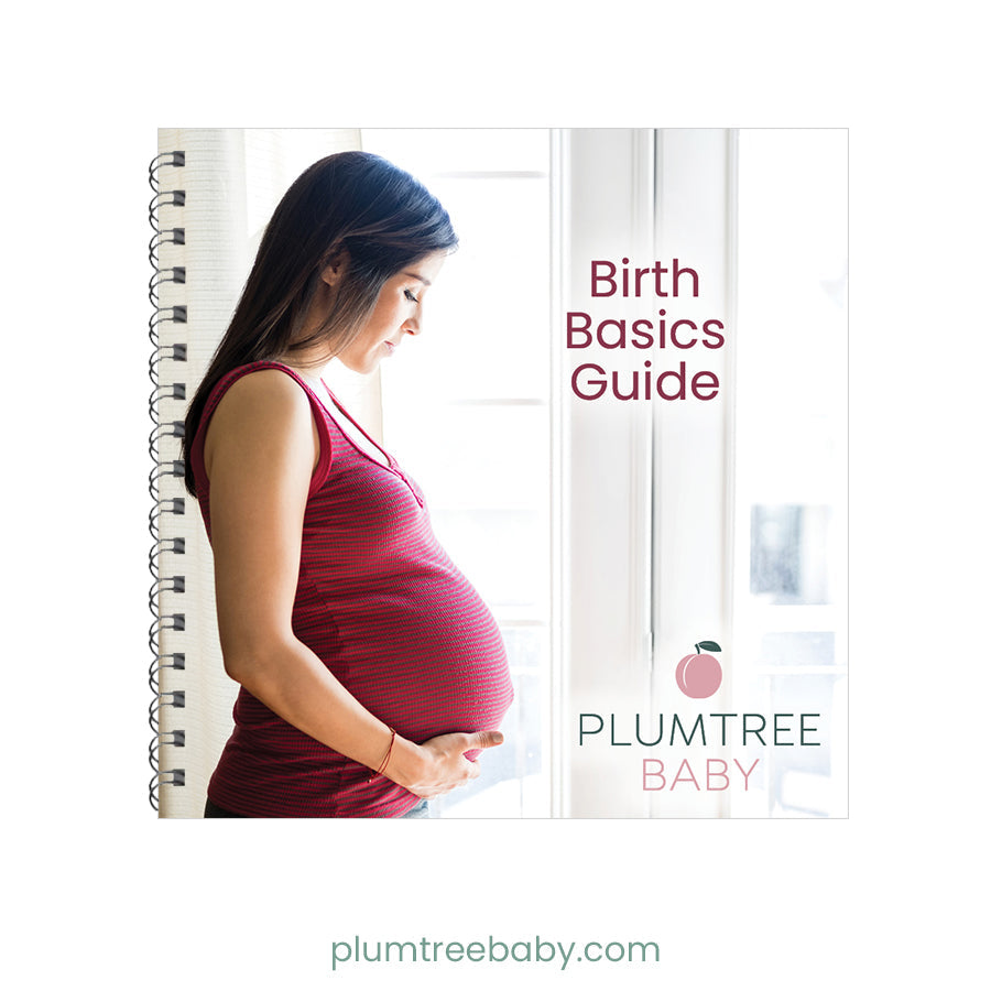 Birth Basics Pocket Guide