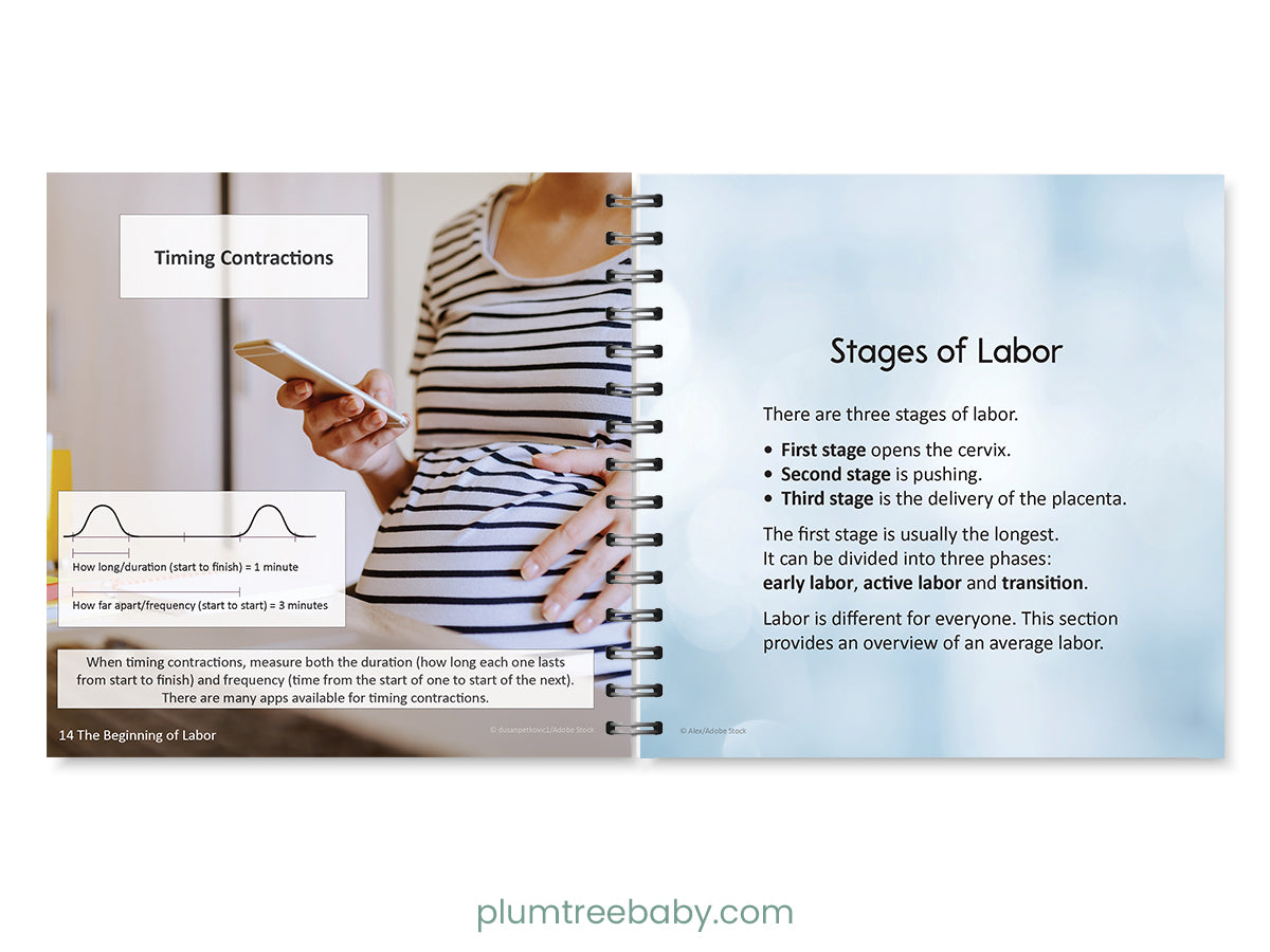 Birth Basics Pocket Guide