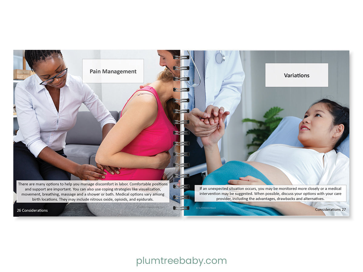 Birth Basics Pocket Guide