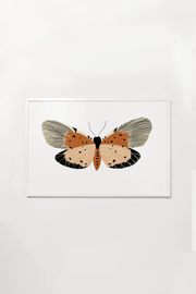 Pink Butterfly Art