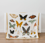 Butterfly Collector Quilt