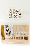 Butterfly Collector Quilt