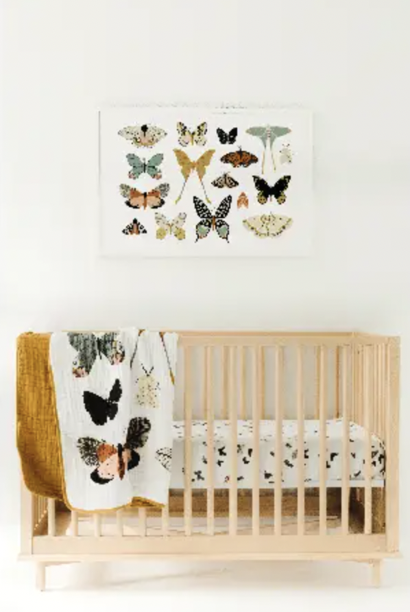 Butterfly Collector Quilt