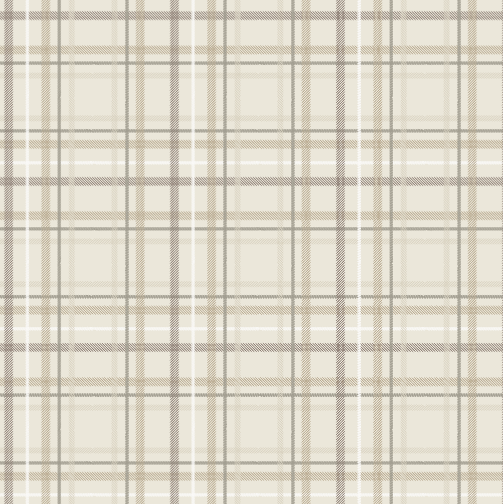 MINKY STRETCH XL THROW BLANKETS