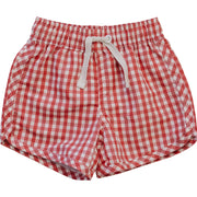Gingham Swim Shorts