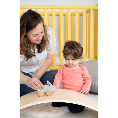 Wooden Bunny Push Toy
