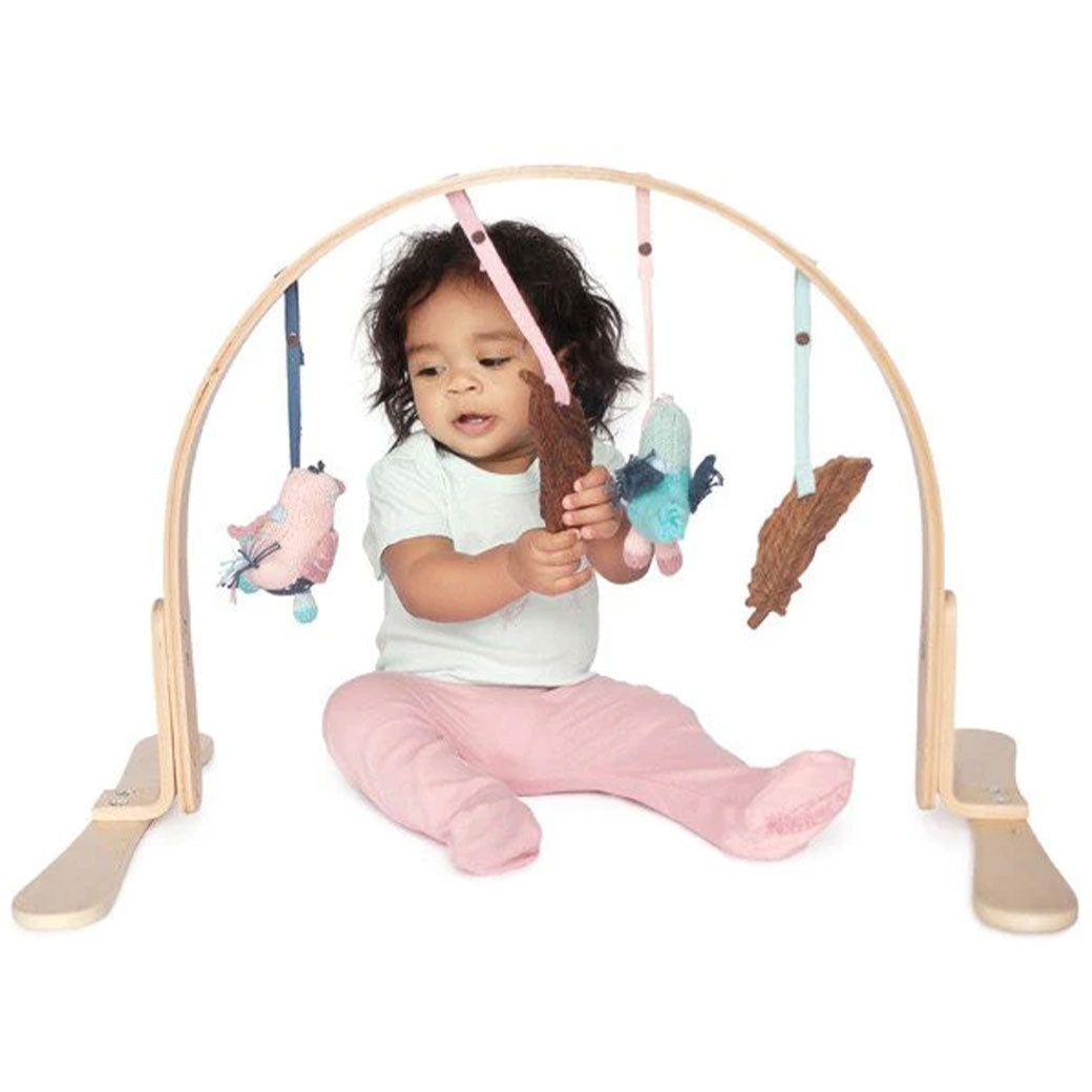 Natural Play Gym