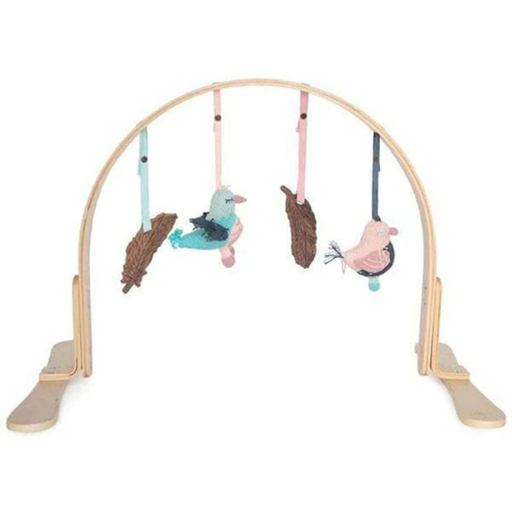 Natural Play Gym