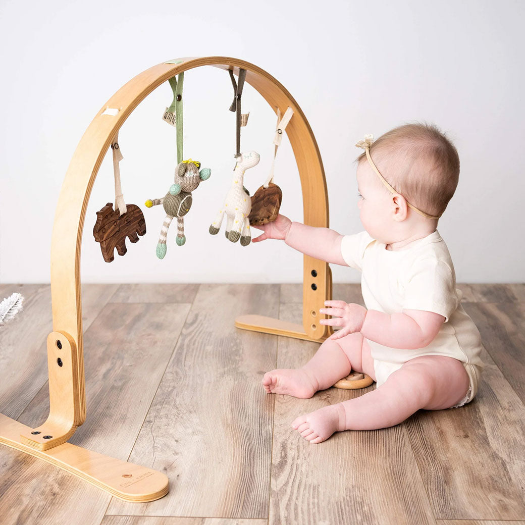 Natural Play Gym