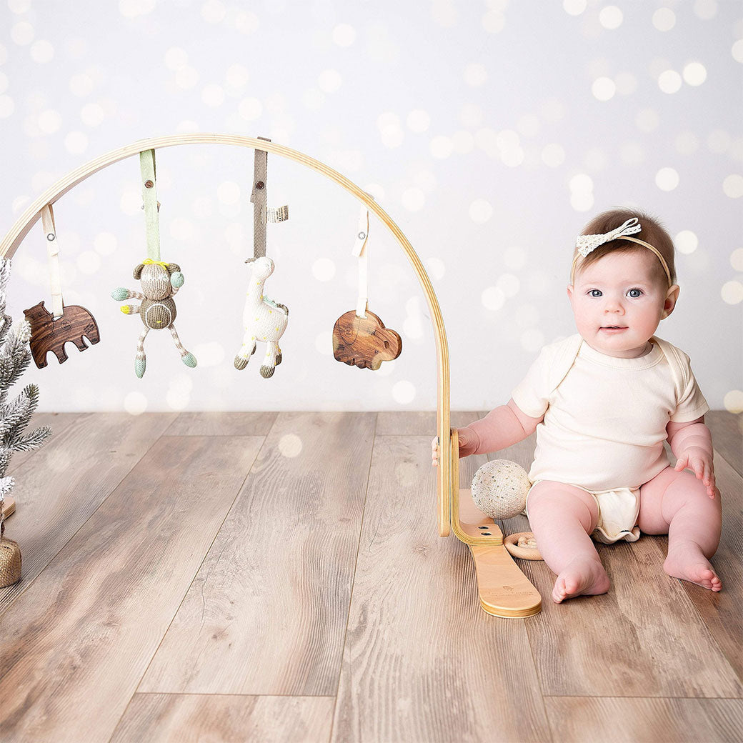 Natural Play Gym