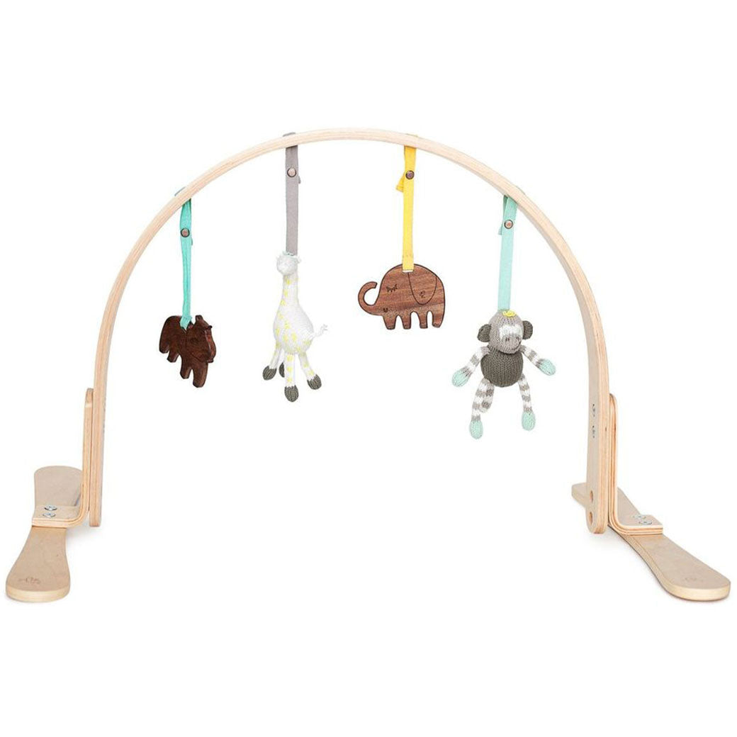 Natural Play Gym