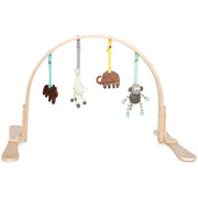 Natural Play Gym