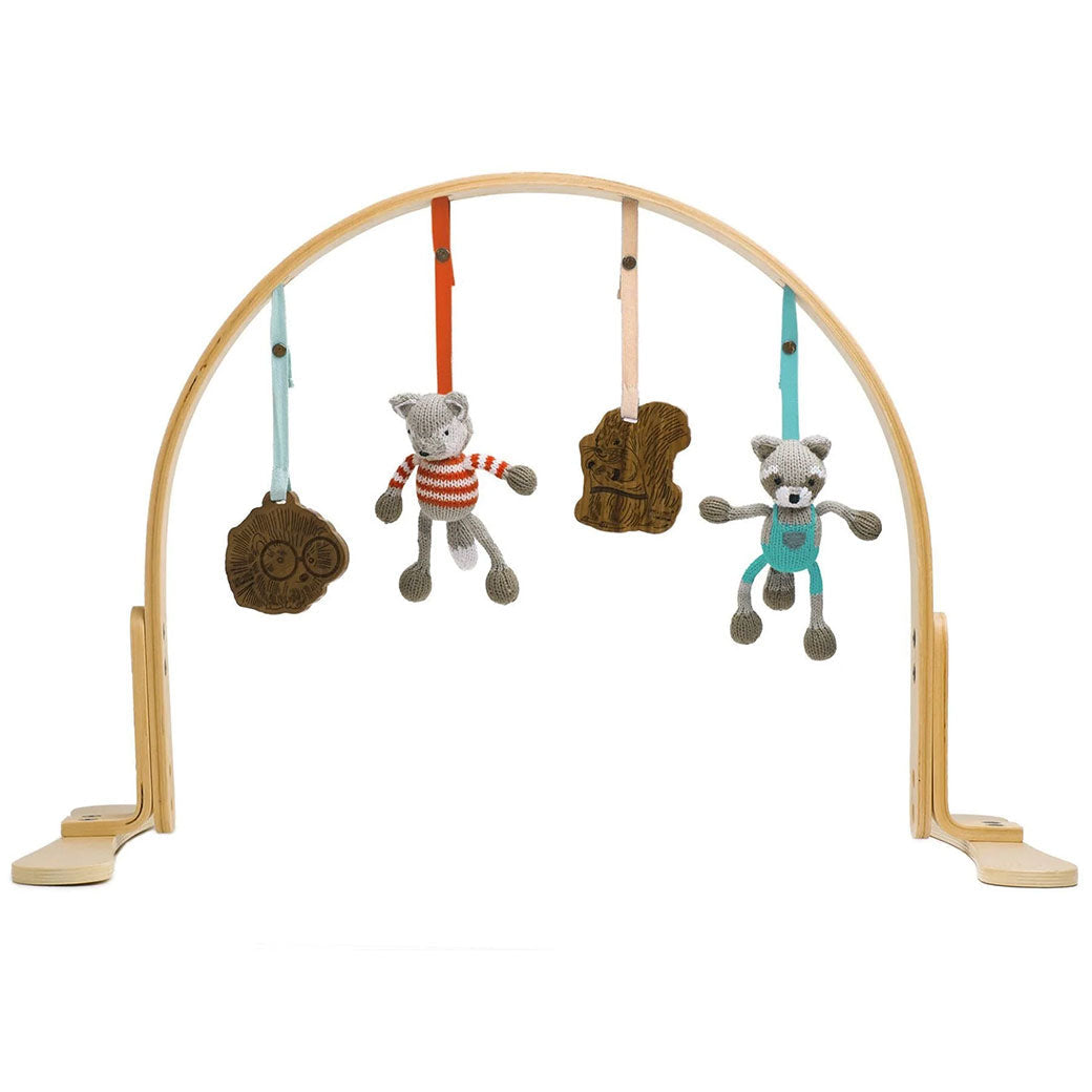 Natural Play Gym