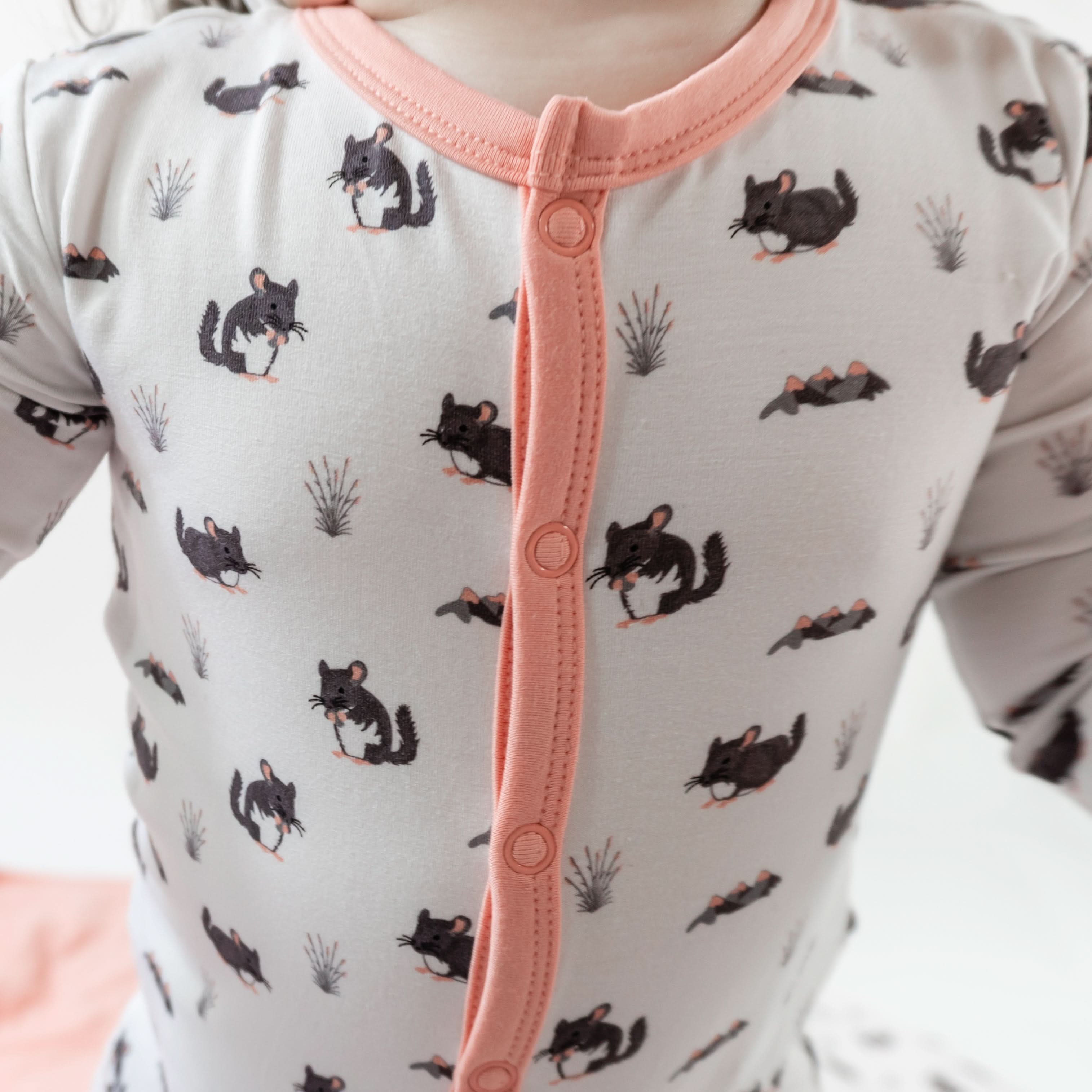 Chinchilla | Snap Footie