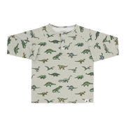 Legendary Raglan Henley