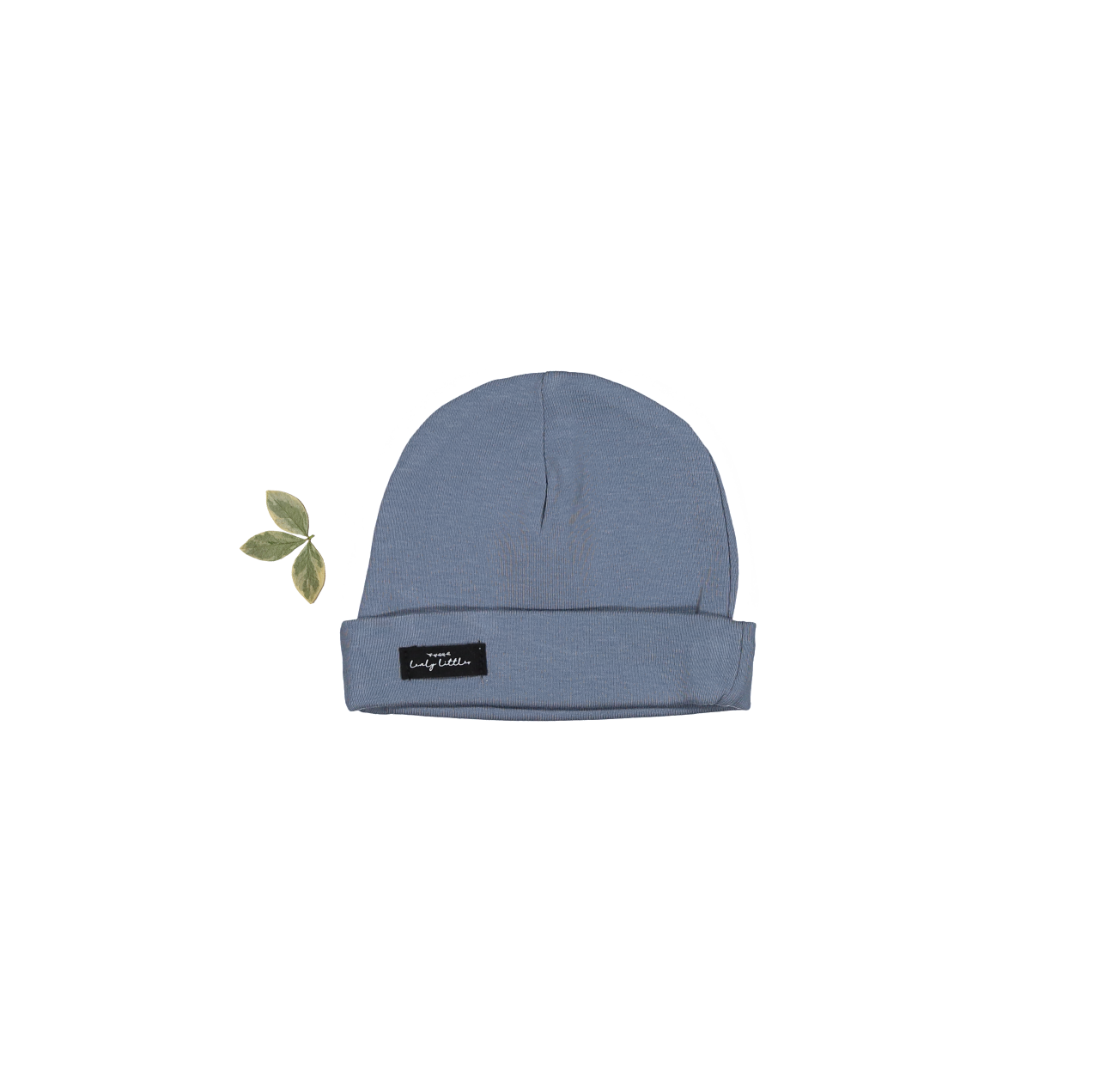 The Hat - Midnight