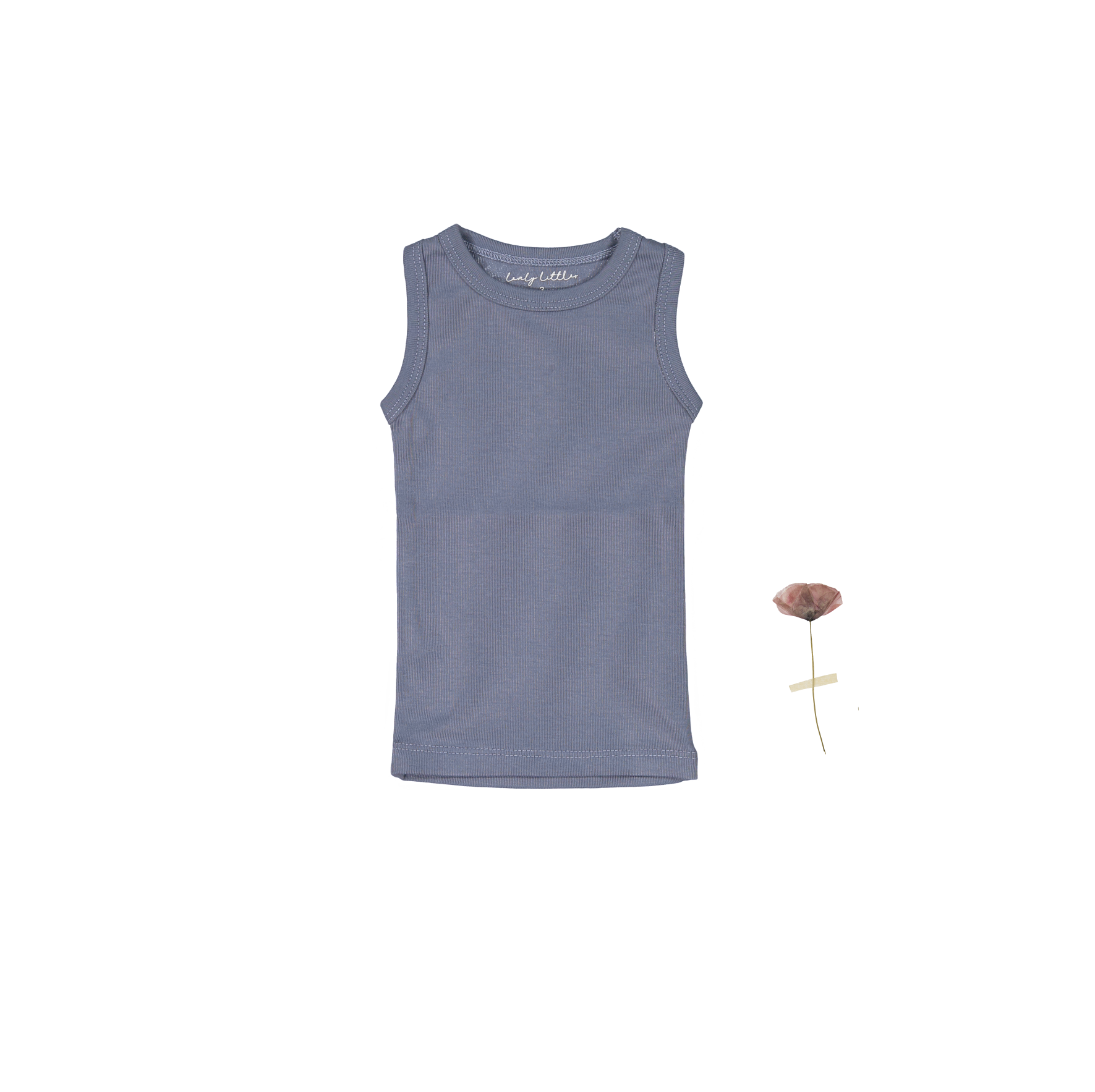 The Tank - Midnight