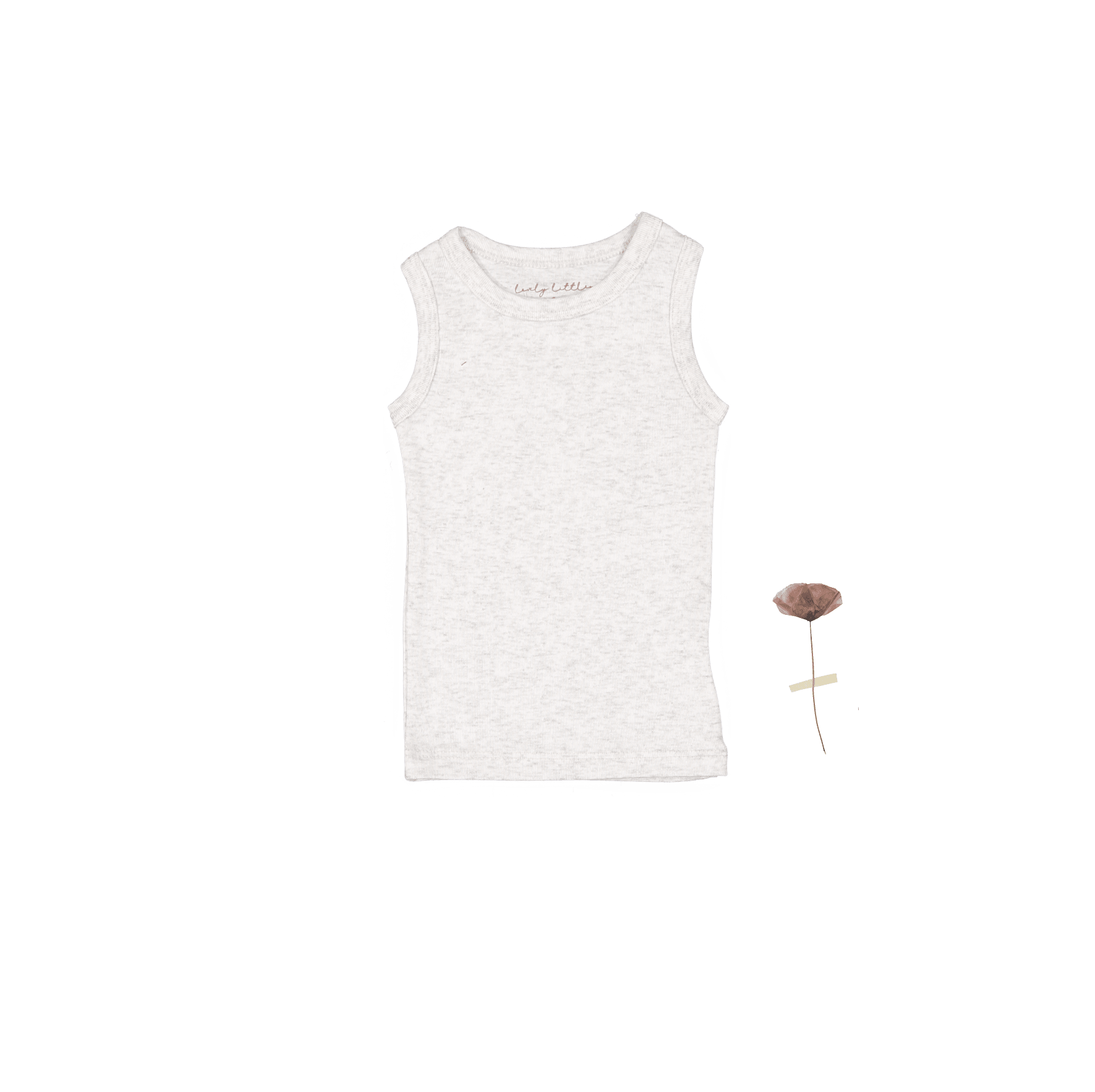 The Tank - Oatmeal