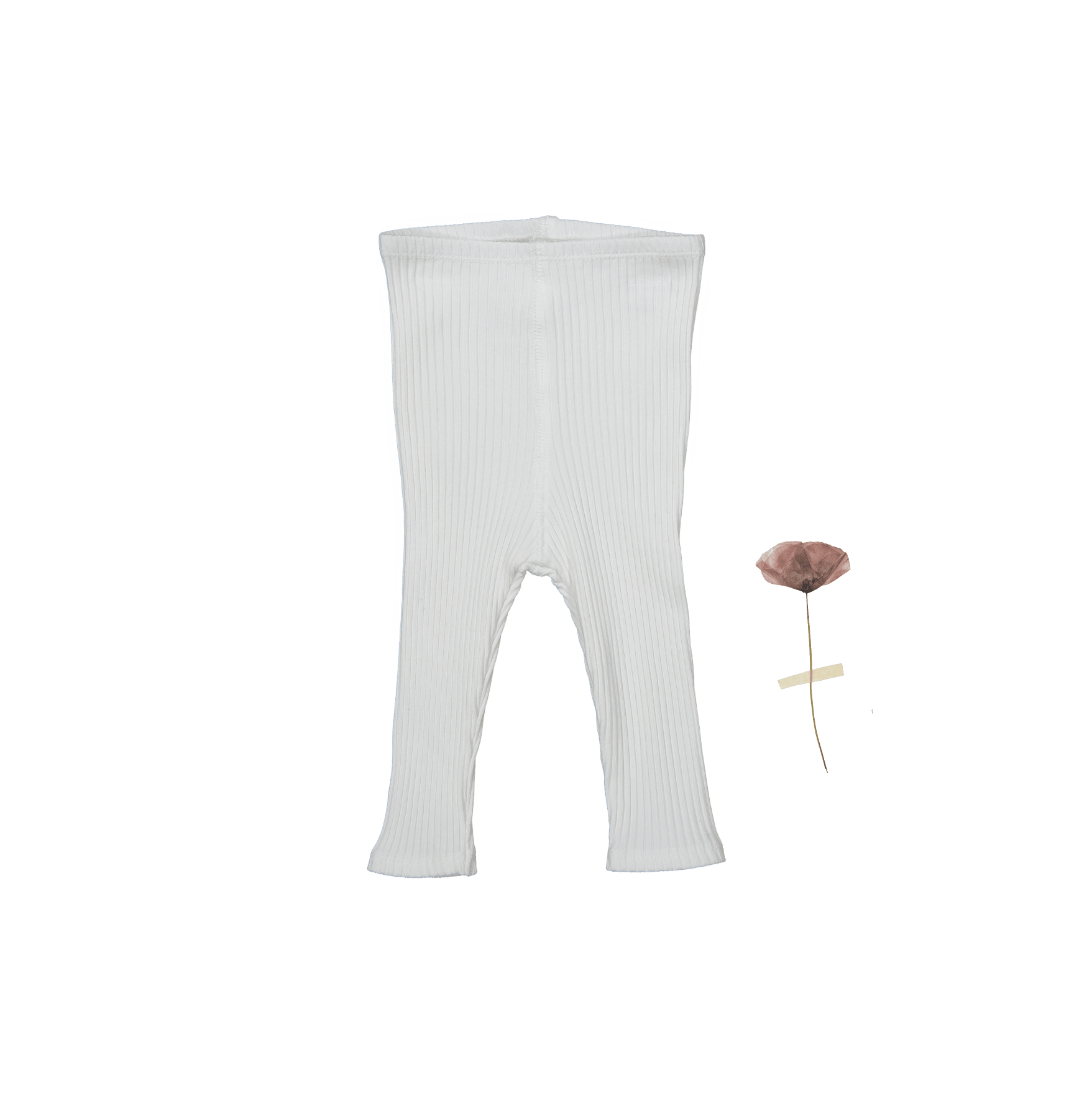 The Legging - Bone