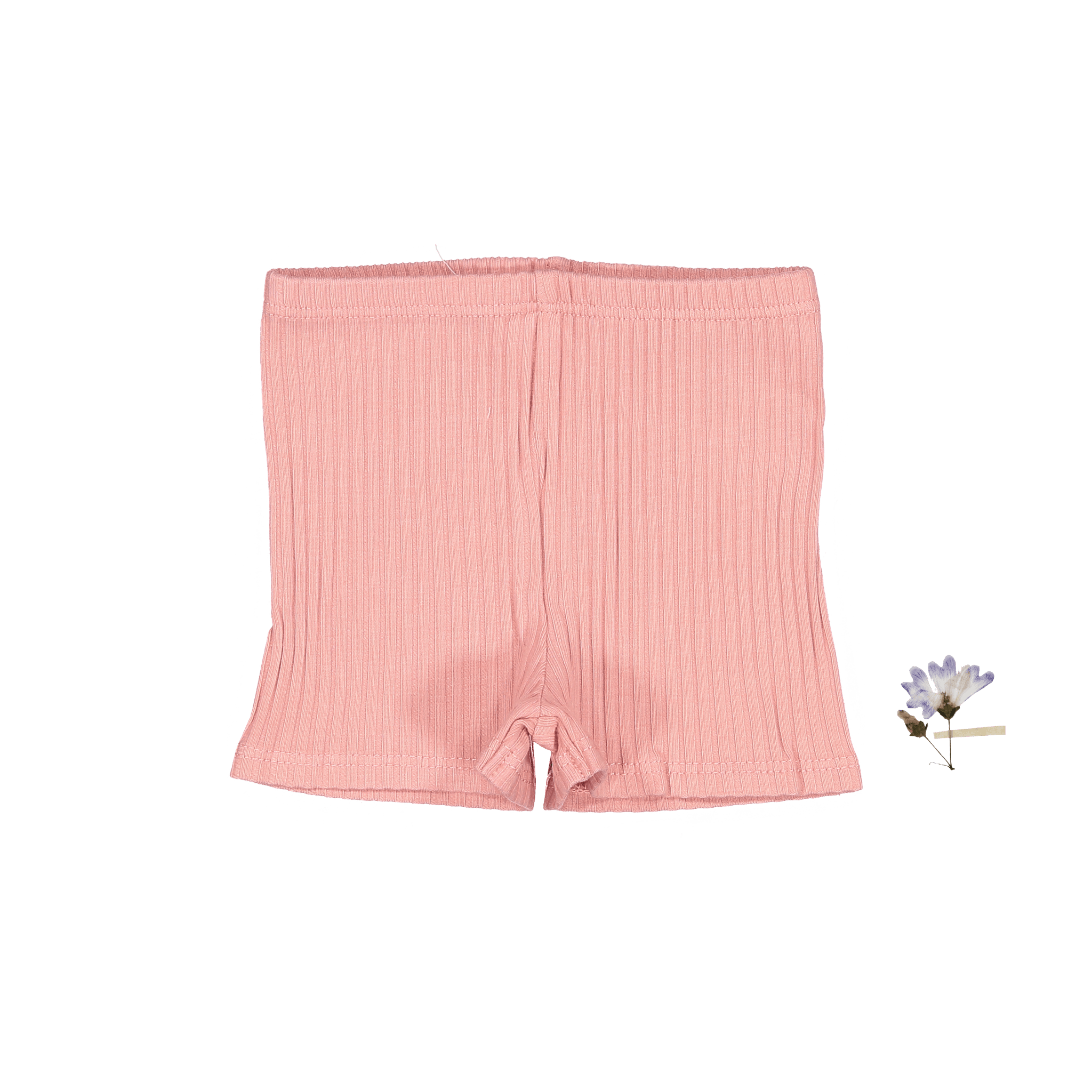 The Short - Rose