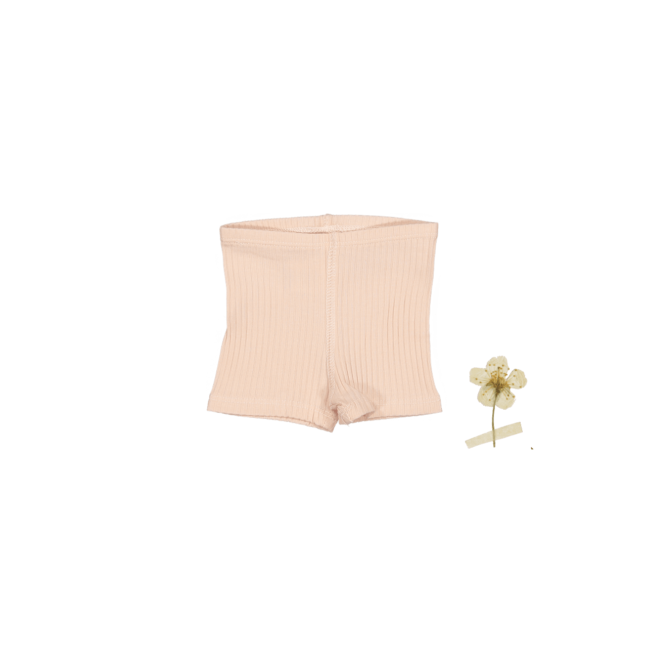 The Short - Powder