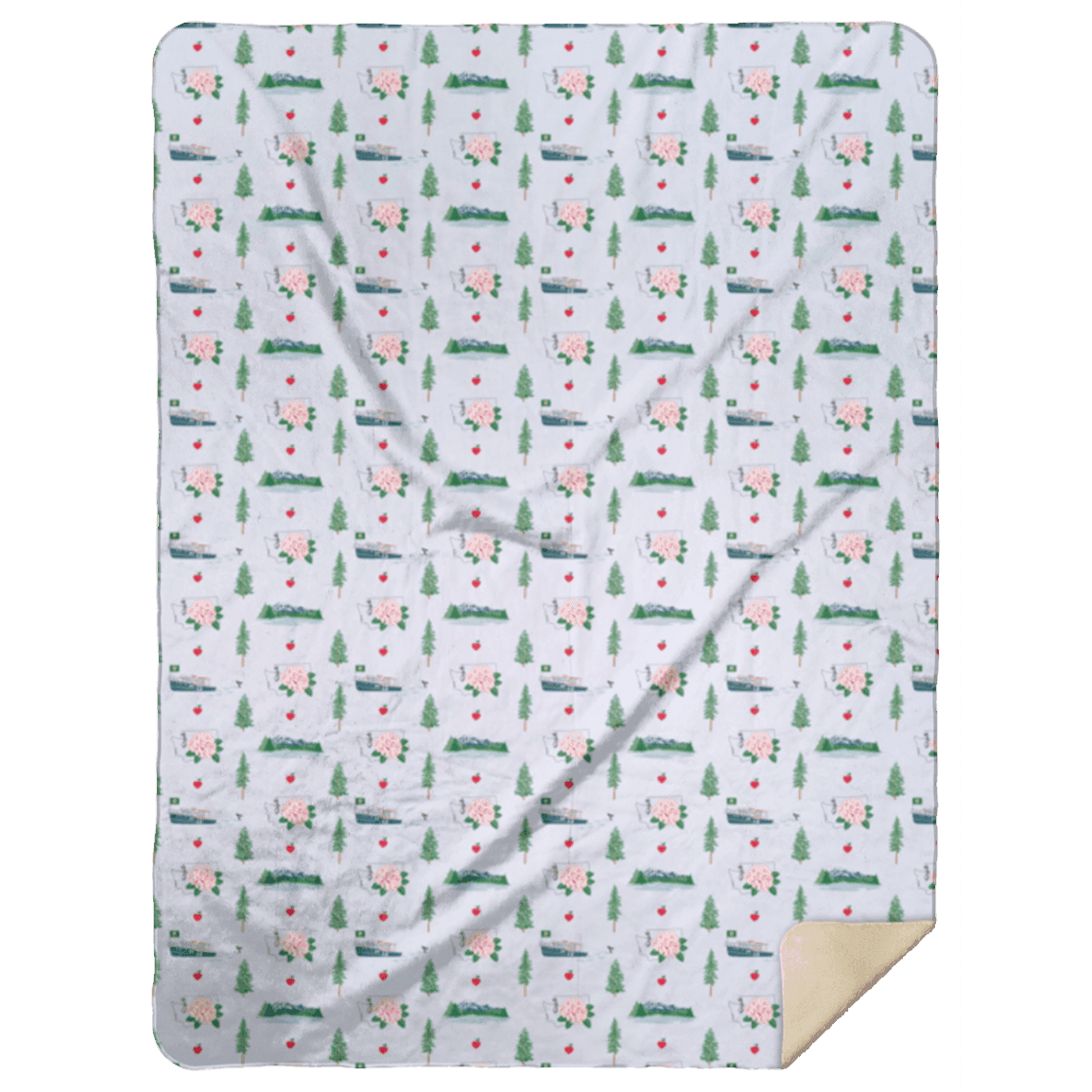Washington State Plush Throw Blanket 60x80 Cozy Hometown Comfort